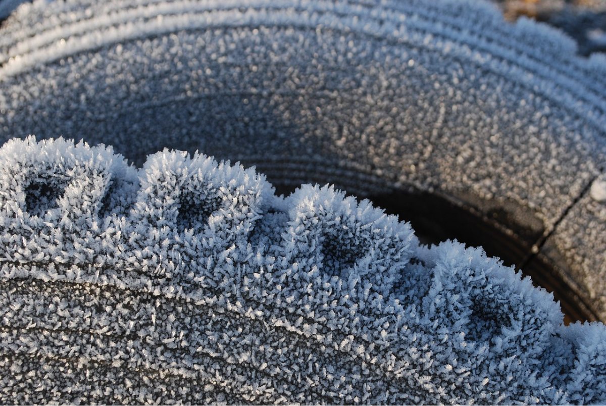 wintertips spiering en pluym zuid holland